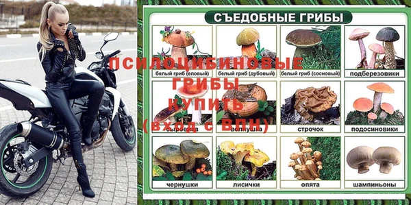 тгк Алексин