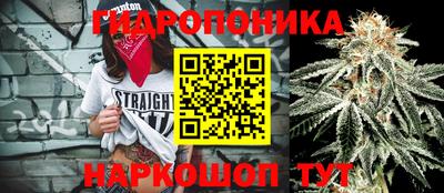 ПСИЛОЦИБИНОВЫЕ ГРИБЫ Ипатово