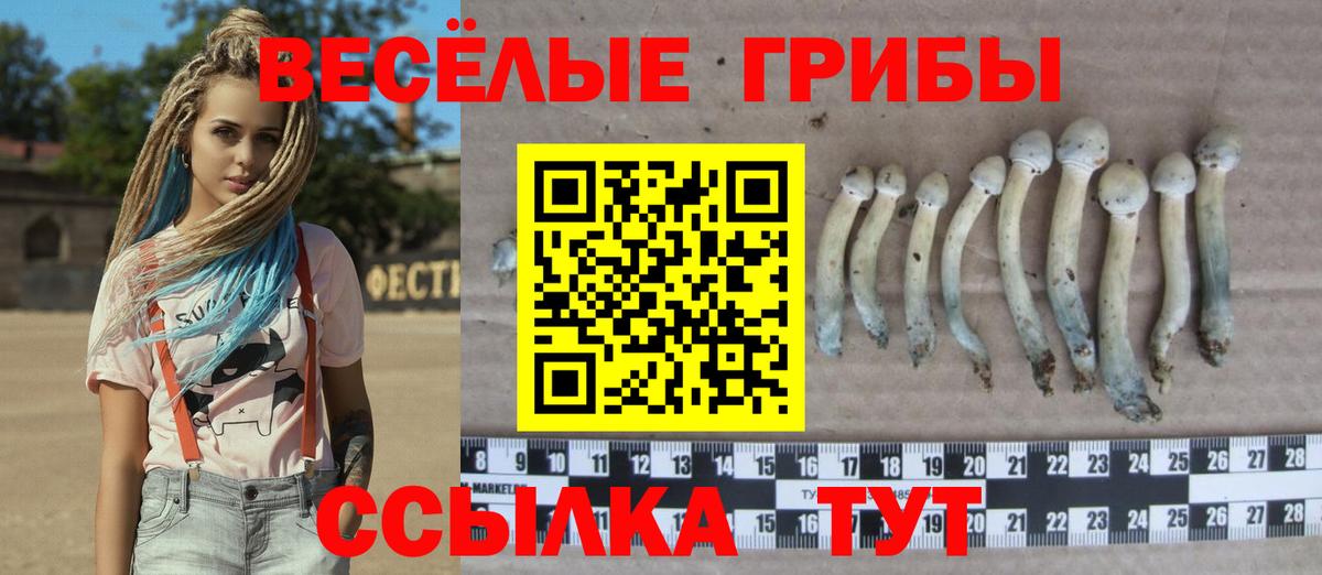 закладки  Вход с VPN  Псилоцибиновые грибы мухоморы  Кыштым  Псилоцибиновые грибы Psilocybine cubensis 